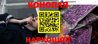 наркотики Владикавказ